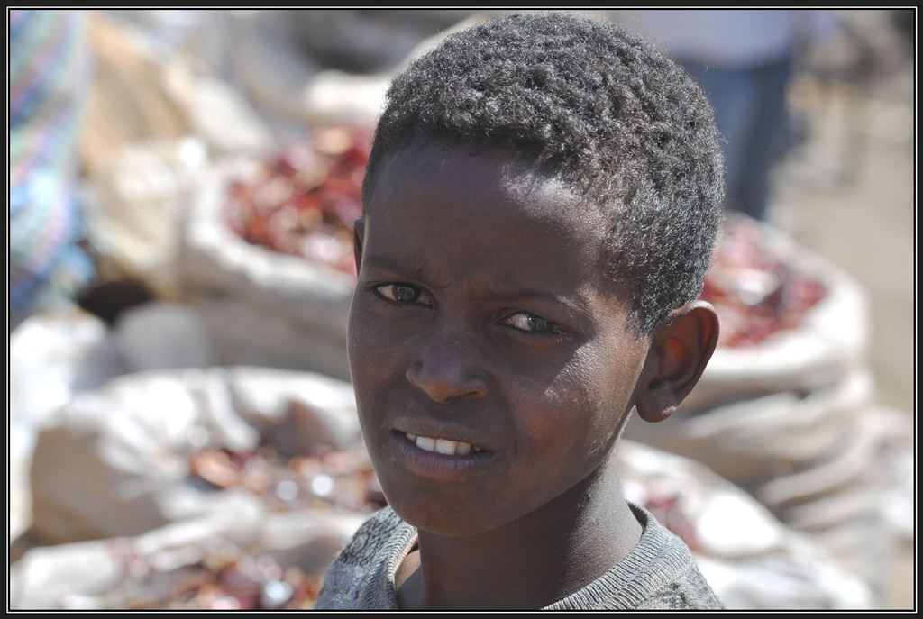 Medeber Recycling Market Asmara (28.01.2012)