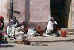 Der Hhnermarkt mit mehr oder weniger lebenden Tieren in Asmara. (26.10.2008)