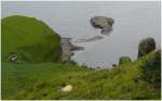 Panoramas/1239/noch-einmal-das-kleine-afrika-auf Noch einmal das kleine Afrika auf Skye. (07.08.2008)
