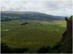 Vom Wind zerzaustes Feld unterhalb des Stirling Castle.