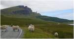 Schafe auf der Strasse zum Old man of Storr, dem Felsen im Hintergrund.