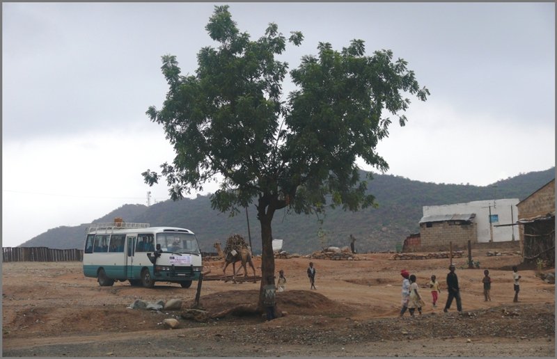 Kamel und Minibus in Ghinda. (30.10.2008)