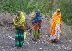 Farbenfrohe Gewnder tragen die Frauen in der Nhe von Baresa auf halbem Weg von Asmara nach Massawa.