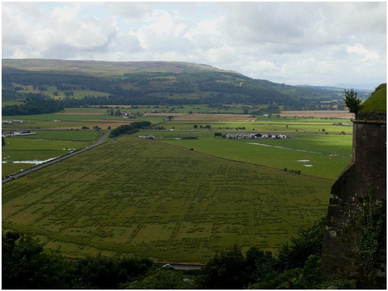 Vom Wind zerzaustes Feld unterhalb des Stirling Castle. (10.08.2008)
