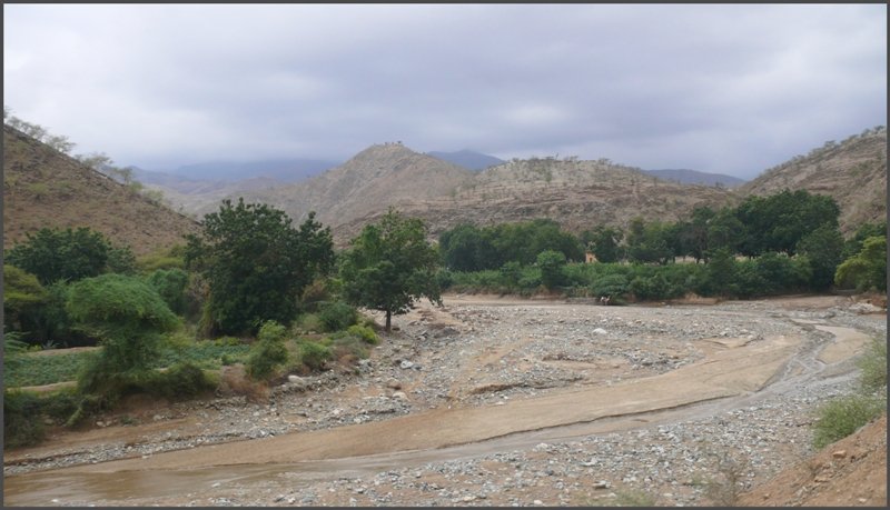 Vor Baresa sumen wieder Bume den Flusslauf. (30.10.2008)